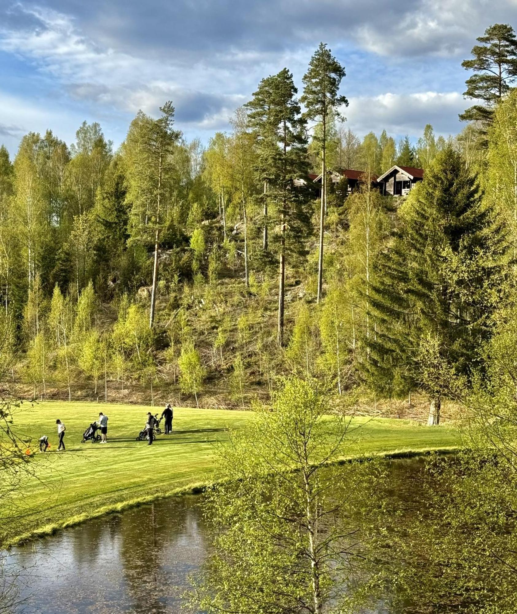 Noretjaerns Stugby Årjäng Kültér fotó
