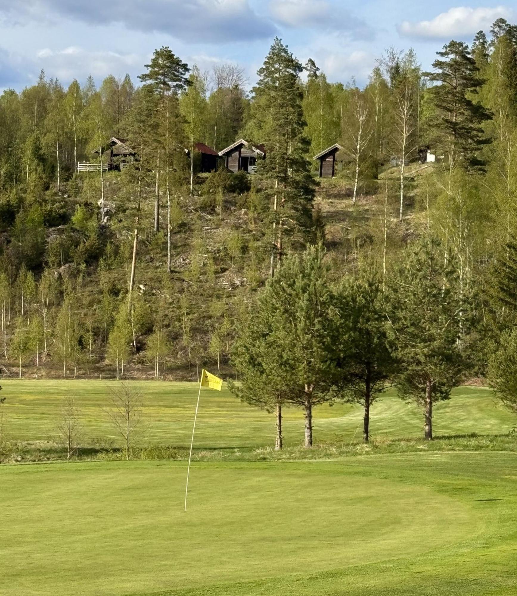 Noretjaerns Stugby Årjäng Kültér fotó